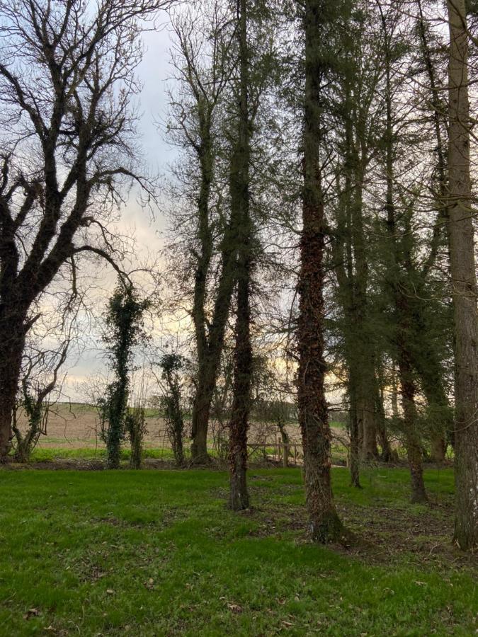 Вилла Kildare Countryside Pods Экстерьер фото