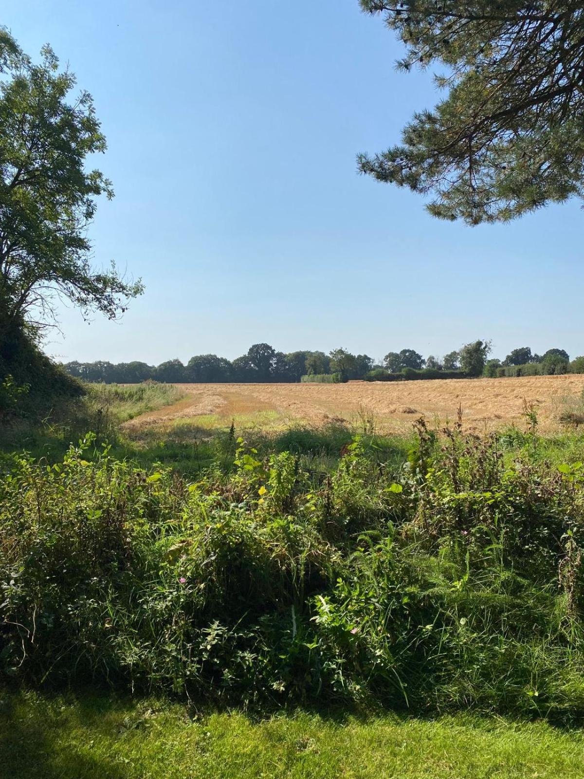 Вилла Kildare Countryside Pods Экстерьер фото