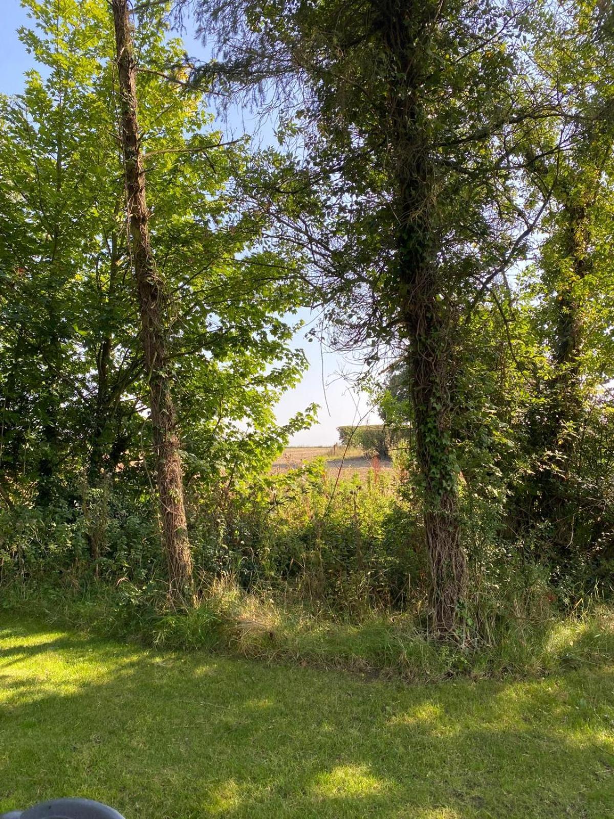 Вилла Kildare Countryside Pods Экстерьер фото